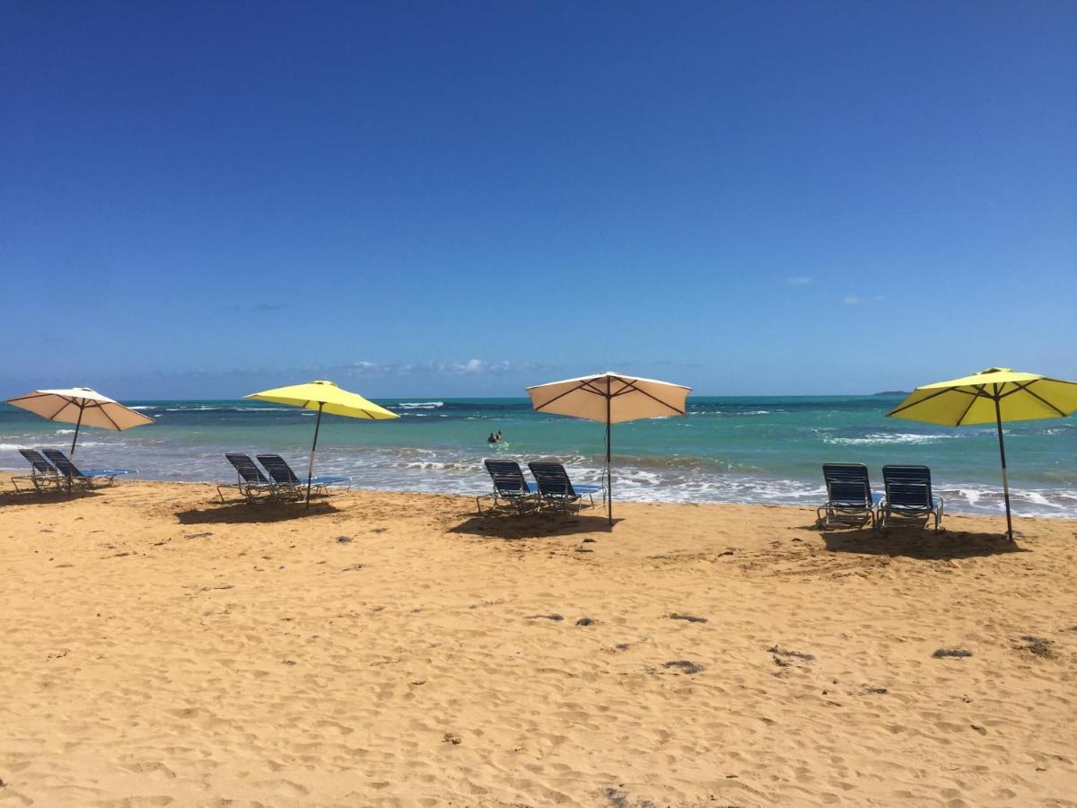 Blue Leaf By The Sea Apartamento Luquillo Exterior foto