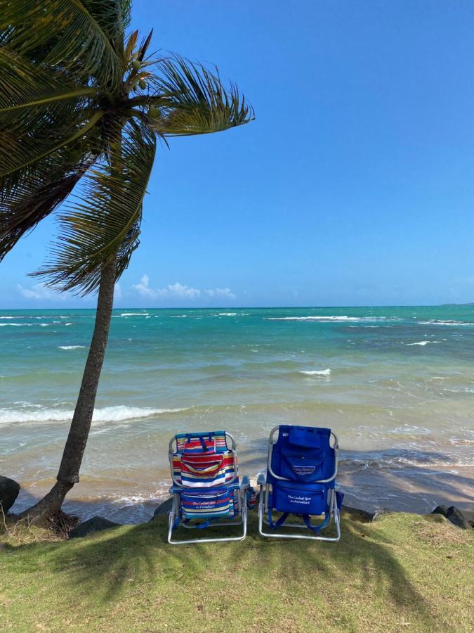 Blue Leaf By The Sea Apartamento Luquillo Exterior foto