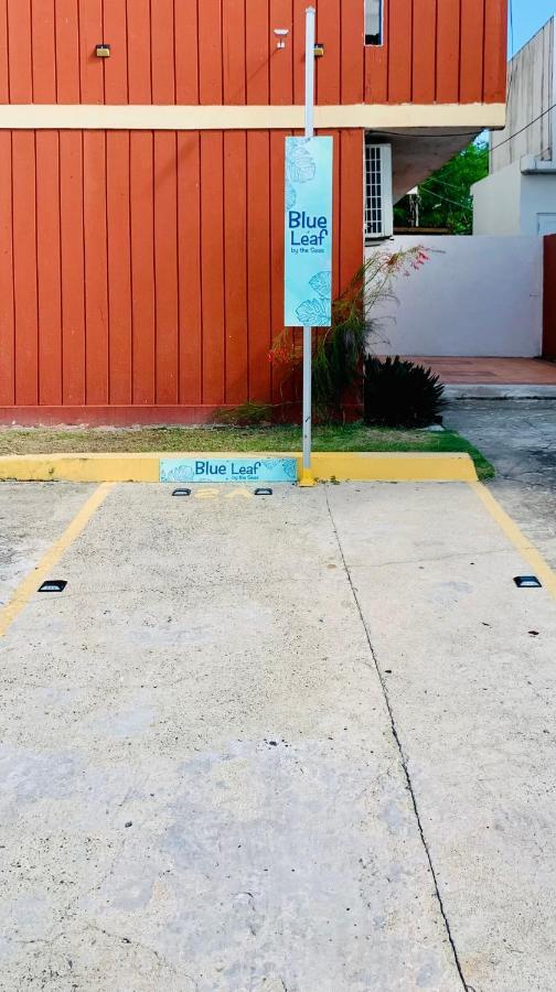 Blue Leaf By The Sea Apartamento Luquillo Exterior foto